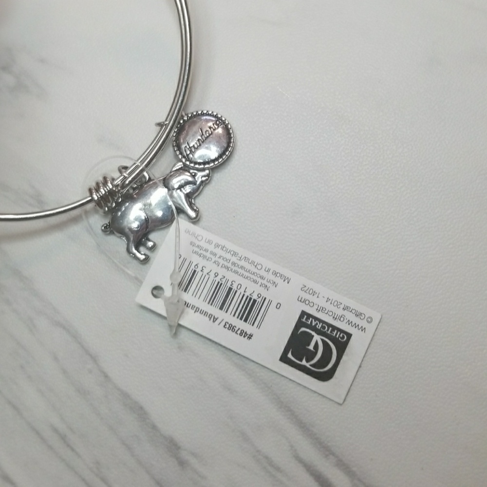 Abundance Pig Silver Color Expandable Bracelet - Picture 6 of 6
